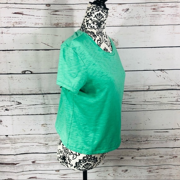 Rachel Zoe 100% Pima Cotton Cropped T-Shirt Tee Green S - Picture 2 of 6